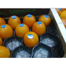 Cheap Disposable Vacuum Forming Alveolar Persimmon Use Fruit Tray Packaging for Protection